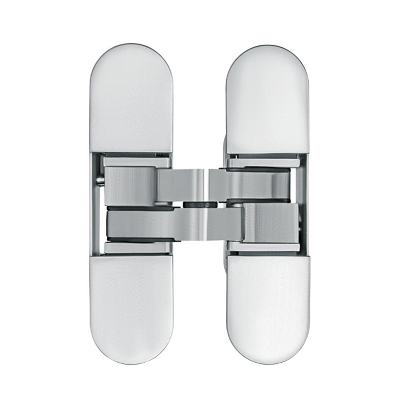 Stainless Steel Concealed Entry Door Hinges