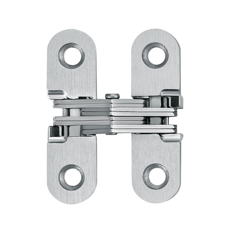 Stainless Steel Door Concealed Hinge